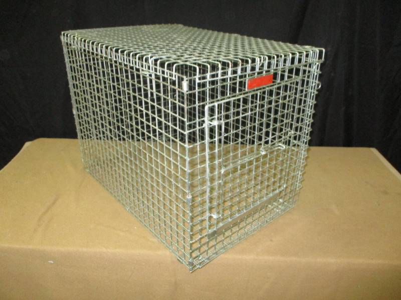 lot 40 image: Pet Kennel 16 12 x 24 18 Variety of Vases