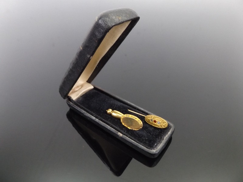 2 Antique Pins in Case