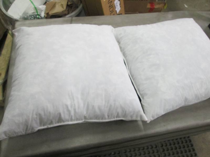 2 Throw Pillow Inserts 20 inch...