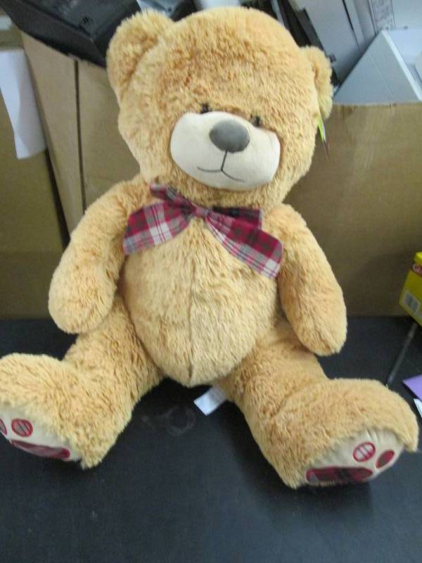 Large Teddy Bear...