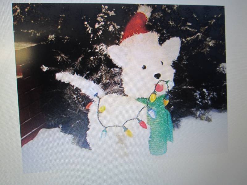 Holiday Time Fluffy Dog Light Sculp...