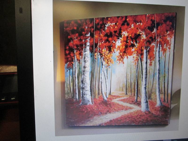 3-D Forest Canvas open box Retail $...