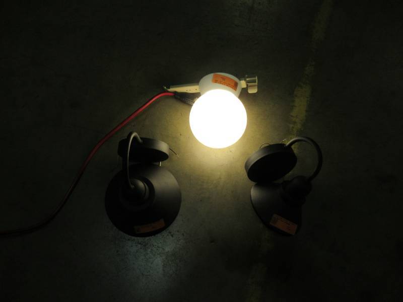 lot 257 image: Flush Mount Globe Light and 2 Outdoor Wall Mount Lights.
