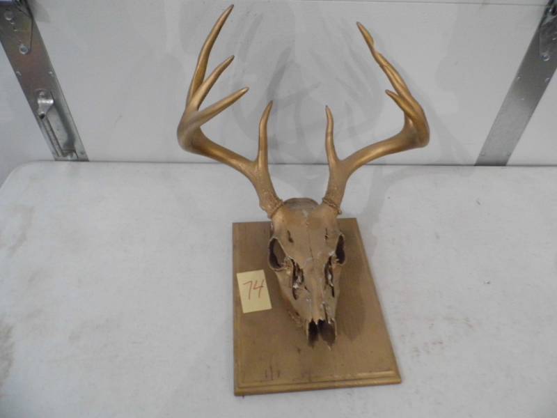 lot 74 image: Deer Mount