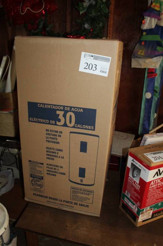 lot 203 image: Richmond 30-Gallon Electric Water Heater