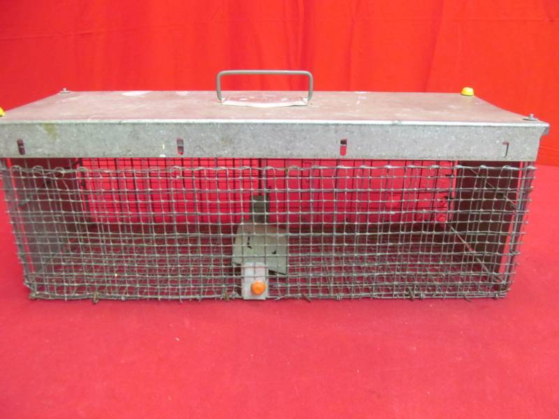 lot 54 image: Victor live trap