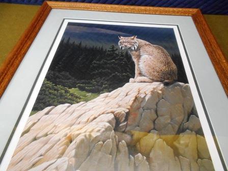 lot 16 image: BEAUTIFUL CANADIAN LYNX PRINT