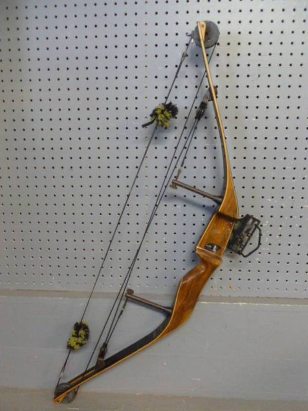 Compound Bow