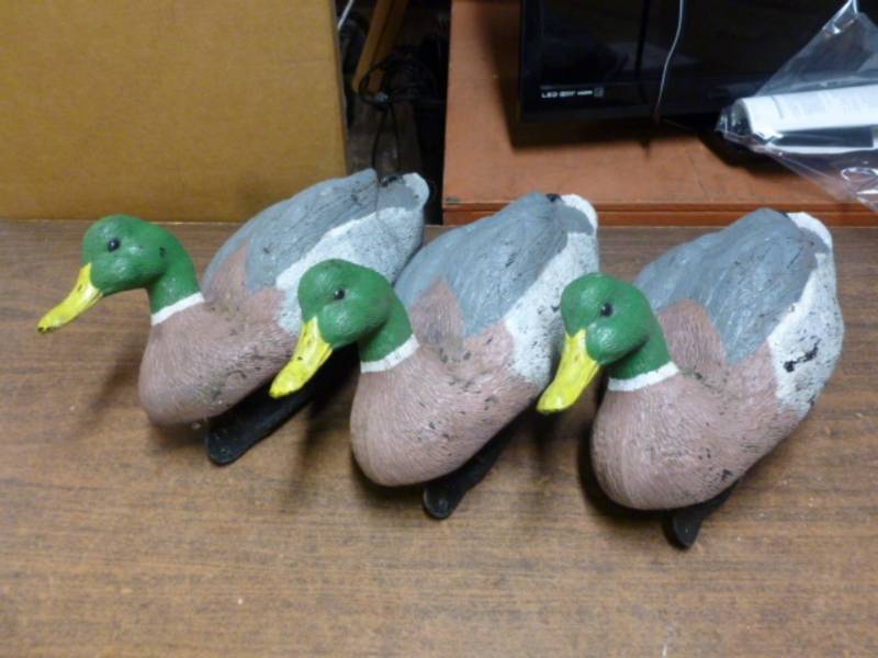 Duck Decoys