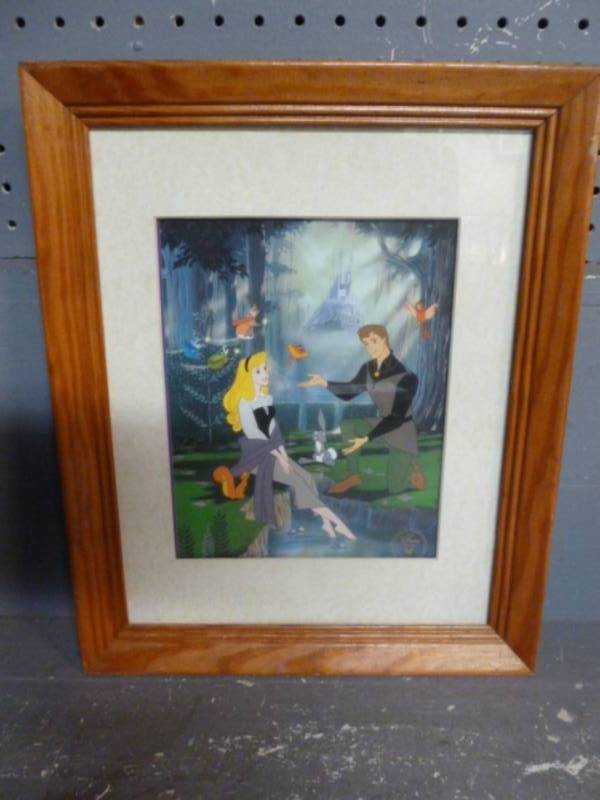 Disney Picture
