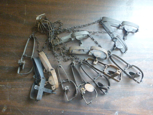 12 Hunting Traps