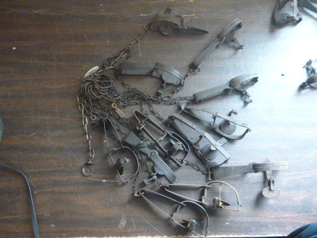 12 Hunting Traps