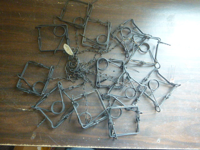 12 Hunting Traps