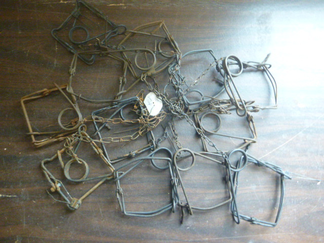 12 Hunting Traps