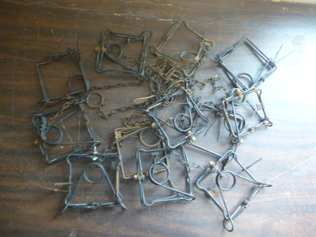 12 Hunting Traps