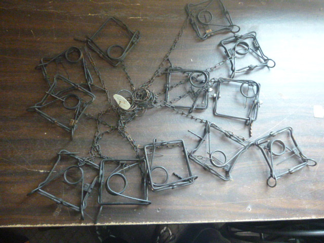 12 Hunting Traps