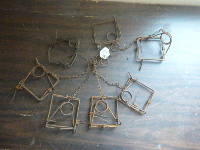 7 Hunting Traps