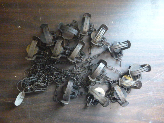 14 Hunting Traps