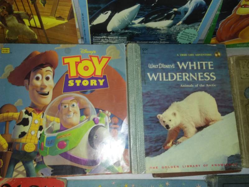 lot 276 image: 16 childrens books.