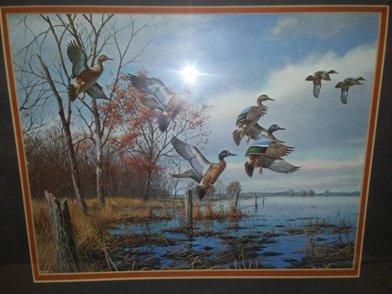 lot 233 image: Mallards in Reeds picture painting 26 x 21 reprint, professionally set, matted framed Maas.