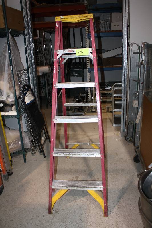 lot 101 image: 6 Ladder
