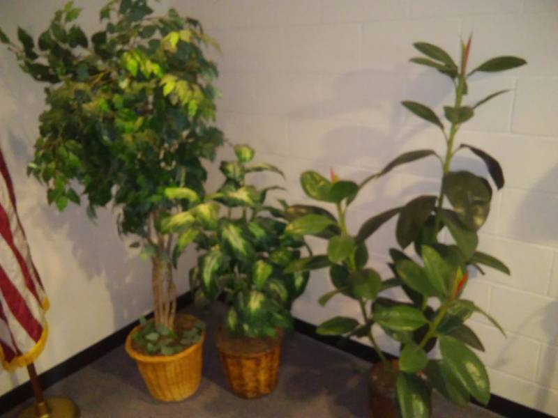 lot 665 image: Artificial floor plants - 3.