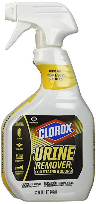 lot 434 image: Clorox Urine Remover  Full Case