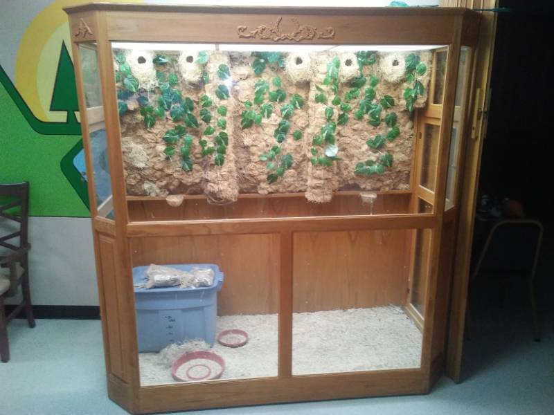 lot 161 image: Oak Aviary plexi-glass, 77 x 77 x 34  Excellent