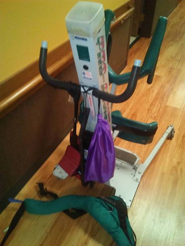 lot 422 image: Pro assist patient lift, 1 battery.