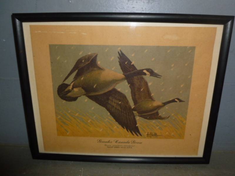 Les Kouba Print