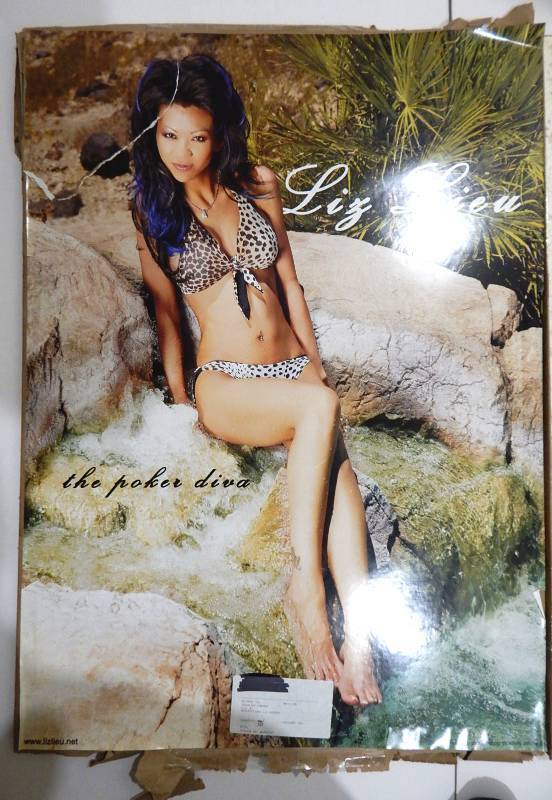Large Lot of Poker Star Liz Lieu Posters