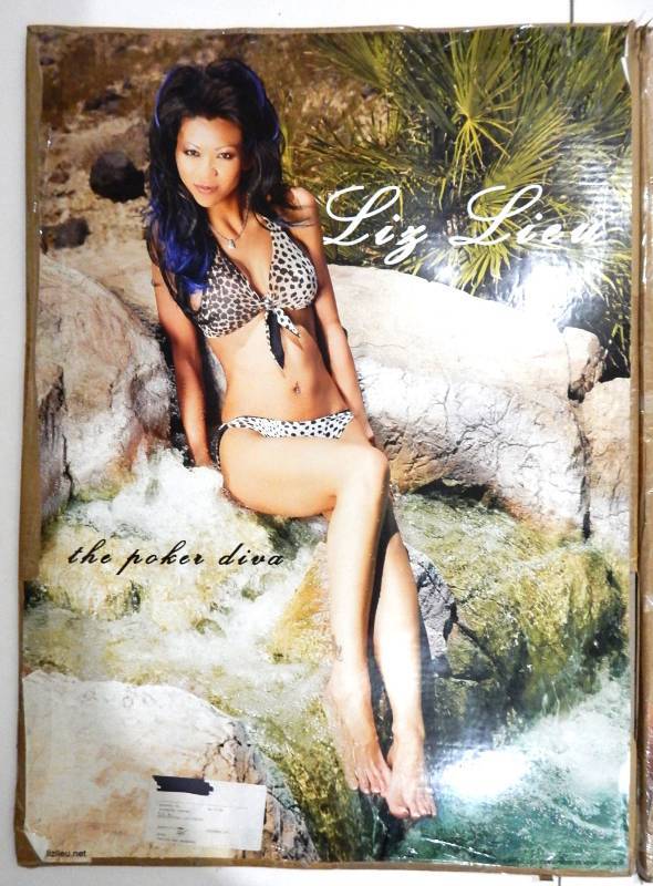Large Lot of Poker Star Liz Lieu Posters