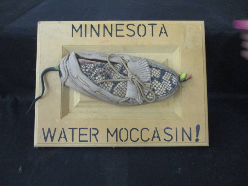 lot 77 image: Minnesota Water Moccasin