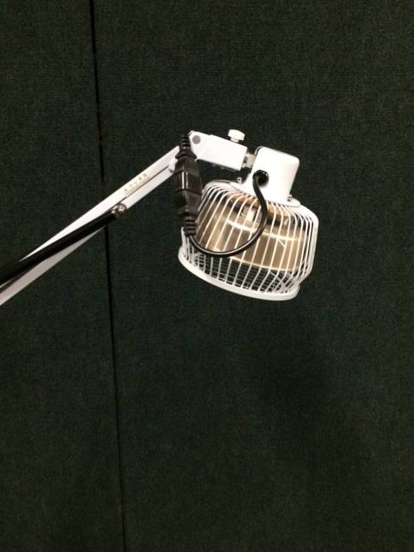 lot 10 image: TDP CQ-27 Infrared Mineral Floor Lamp - Excellent Working Condition
