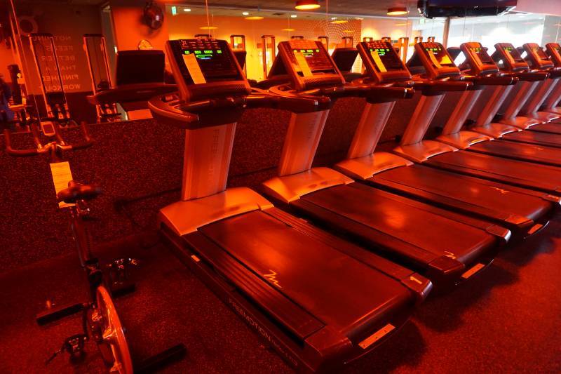 2015 Free Motion Model Reflex T11.3 Commercial Treadmill