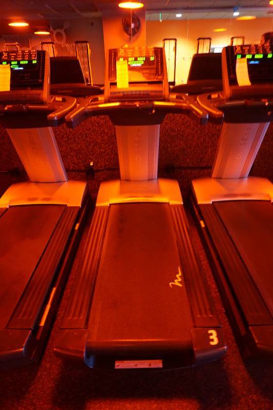 2015 Free Motion Model Reflex T11.3 Commercial Treadmill