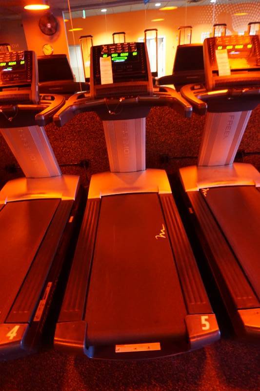 2015 Free Motion Model Reflex T11.3 Commercial Treadmill