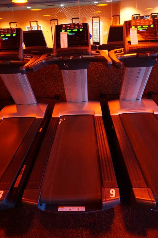 2015 Free Motion Model Reflex T11.3 Commercial Treadmill