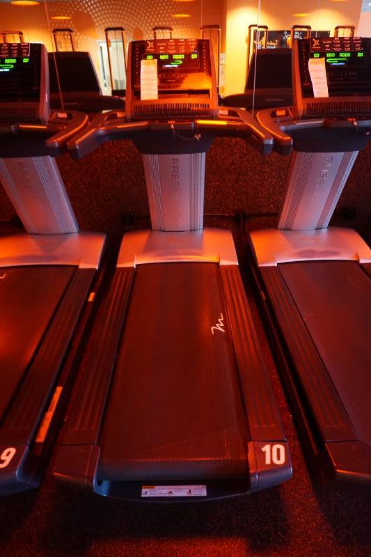 2015 Free Motion Model Reflex T11.3 Commercial Treadmill