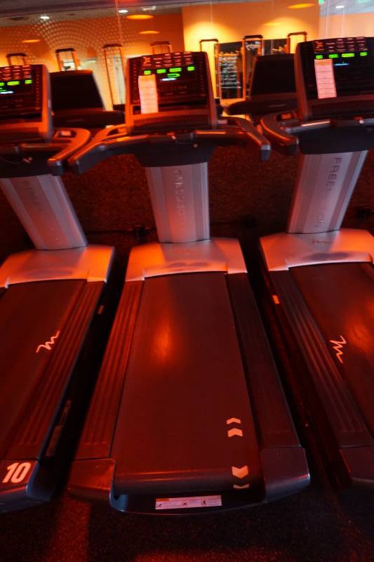 2015 Free Motion Model Reflex T11.3 Commercial Treadmill