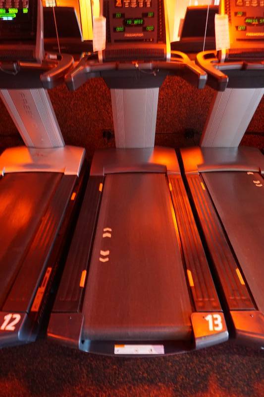 2017 Free Motion Model Reflex T10.7S Commercial Treadmill