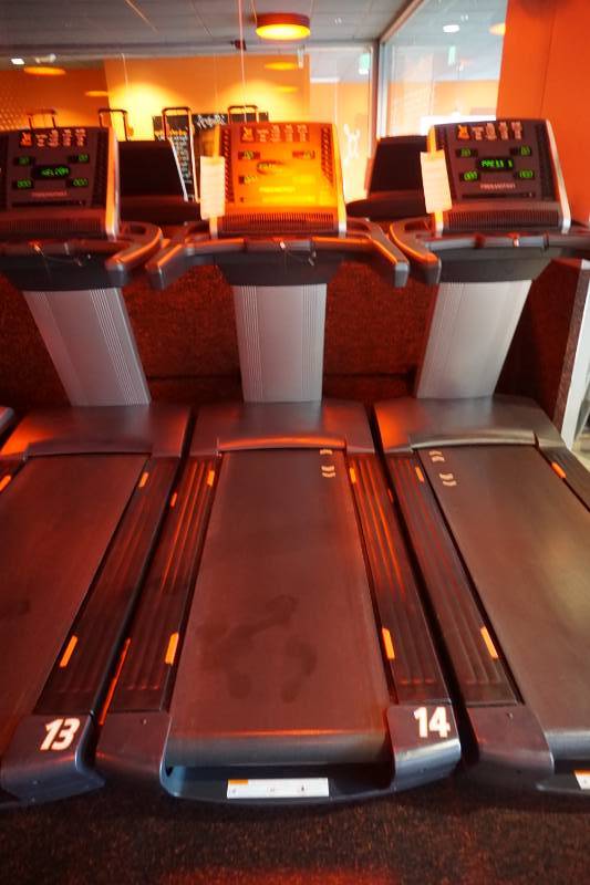 2017 Free Motion Model Reflex T10.7S Commercial Treadmill