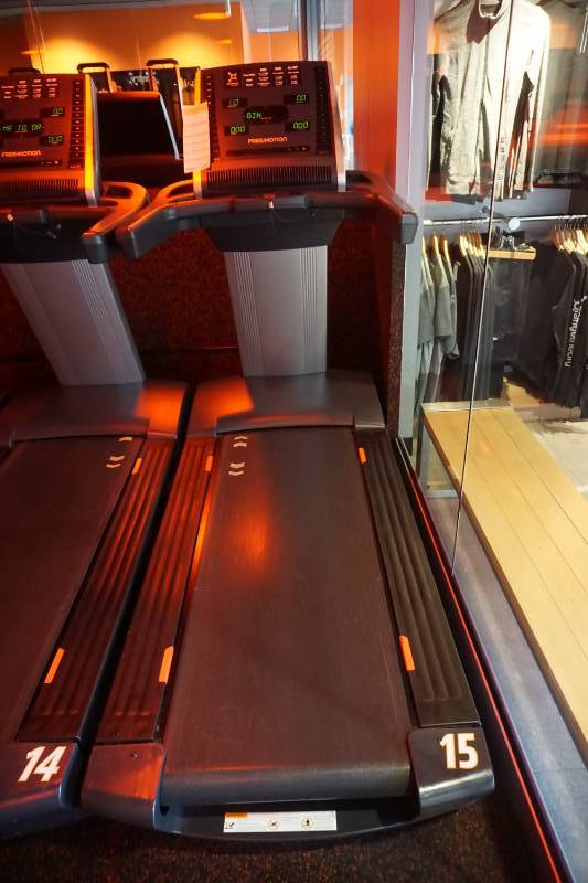 2017 Free Motion Model Reflex T10.7S Commercial Treadmill
