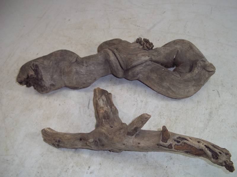 lot 216 image: Drift Wood