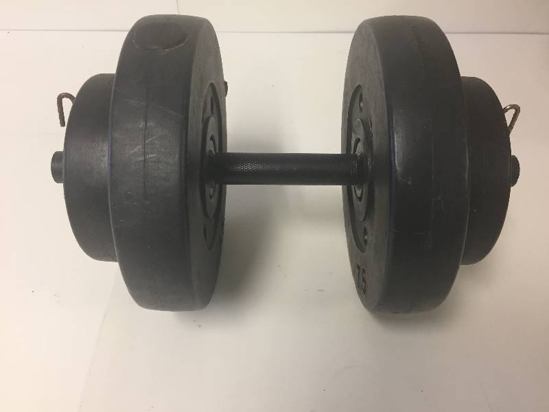 lot 287 image: Barbell Weights 20 lb