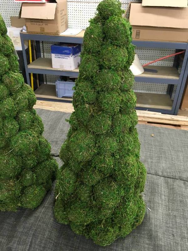 lot 235 image: Two Mini Trees