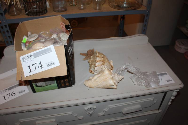 lot 174 image: Sea Shells
