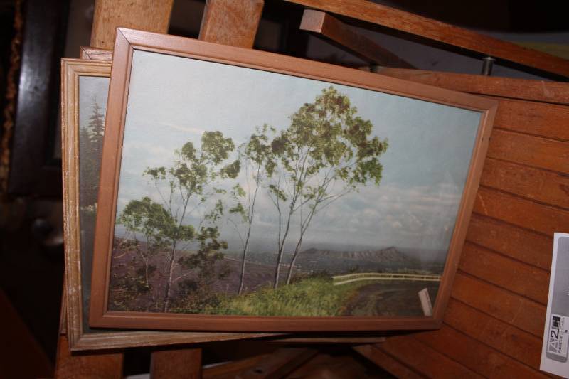 lot 217 image: Nature Framed Wall Dcor