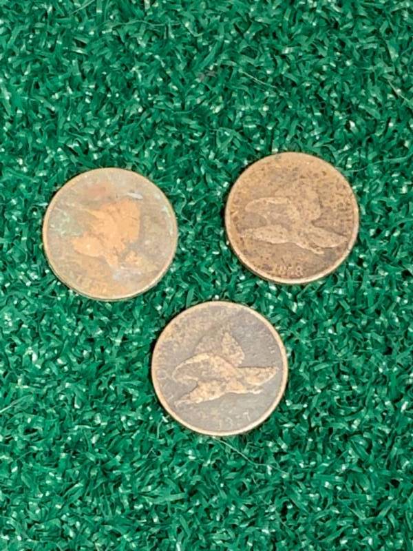 Lot of 3 Flying Eagle Cents (1857-1858)
