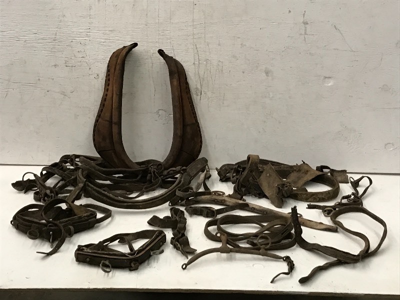 lot 74 image: Plastic Storage Tote Of Assorted Leather Equestrian Harness & Etc